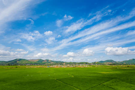 Beautiful green vivid rice fields landscape in National Park Phong Nha Ke Bang in Vietnam. Rural scenery photo taken in south east Asia.の写真素材