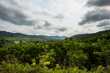 Beautiful green vivid  landscape on the trip from National Park Phong Nha Ke Bang to Cua Lo in Vietnam. Rural scenery photo taken in south east Asia.の写真素材