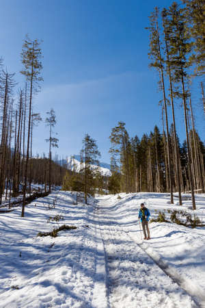 Beautiful polish westTatry mountains landscape during winter. Sunny panorama with senior active tourist - Dolina Koscieliska valley in snowの写真素材