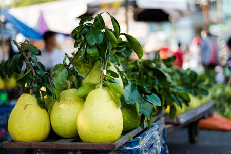 Ho Chi Minh, Vietnam - January 2020: Beautiful landmark of Saigonのeditorial素材