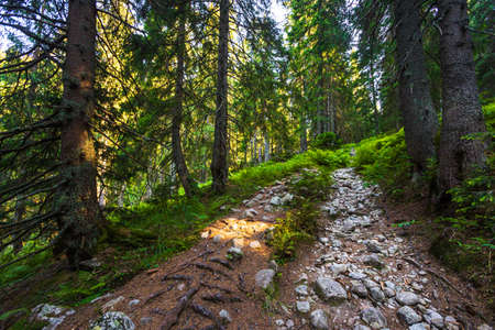 Beautiful path around Chopok and Dumbier mountain with Stefanika shelter - in slovakian low Tatra mountains. Summer panorama with great weather and blue skyの写真素材