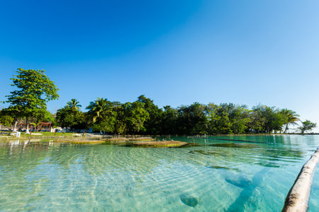Beautiful landscape with stromatolites, photo taken in Laguna Bacalar in Mexico during kayak trip.の写真素材