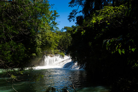 Beautiful nature in Roberto Barrios cascadas park, Palenque in Mexico. Vivid landscape photo with lush green and crystal water during sunny day.の写真素材