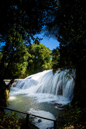 Beautiful nature in Roberto Barrios cascadas park, Palenque in Mexico. Vivid landscape photo with lush green and crystal water during sunny day.の写真素材