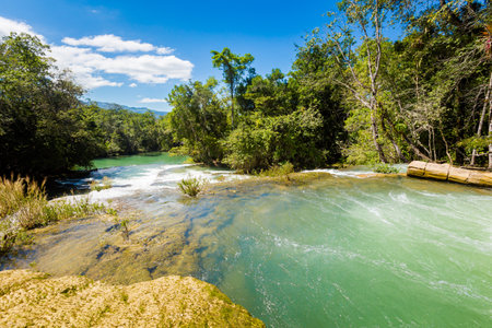 Beautiful nature in Roberto Barrios cascadas park, Palenque in Mexico. Vivid landscape photo with lush green and crystal water during sunny day.の写真素材