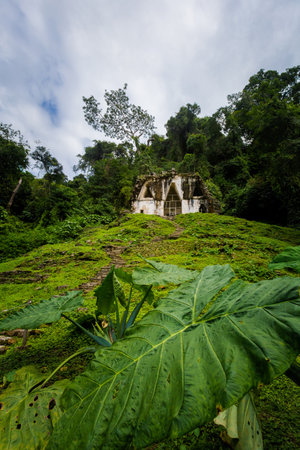 Beautiful pyramids in Palenque archaeological site in Mexico. Vivid landscape photo.の写真素材
