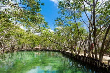 Beautiful El Corchito Ecological Reserve in Progreso, Mexico during a sunny day. eco concept.の写真素材