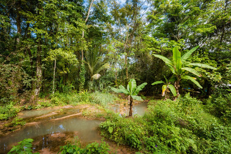 Beautiful landscape of Agua Azul cascades park in Palenque, Mexico. Vivid landscape photo.の写真素材