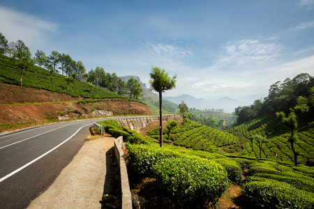 Beautiful landscape taken in Indian Munnar mountains. Lush green Agriculture of south India.の写真素材