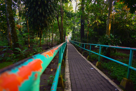 Peaceful garden pathway brick in green park, walk among trees and plants in a beautifully landscaped outdoor environmentの写真素材