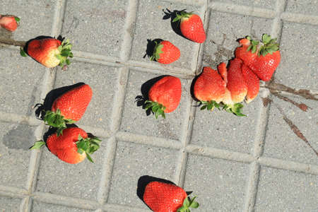 Red ripe smashed strawberries on grey concrete paving slab.の写真素材