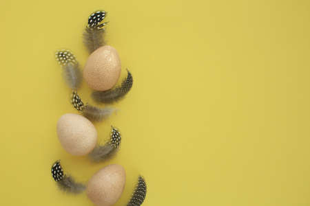 Seven gray Guinea fowl feathers with three eggs on yellow background.の写真素材