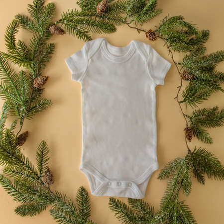 Pregnancy announcement . Mock up for pregnancy and birth announcements.の写真素材