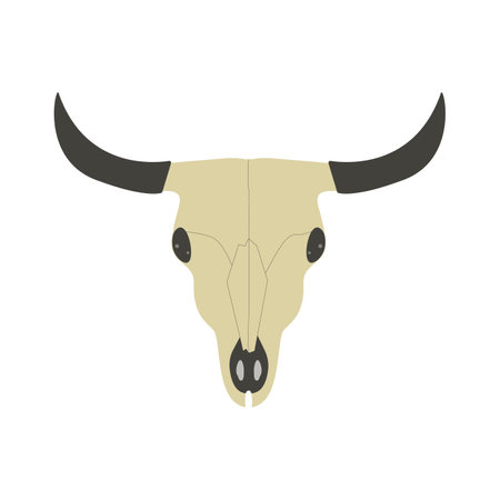Bull Skull Bohemian. Buffalo skull . Wild west .Boho esoteric conceptのイラスト素材