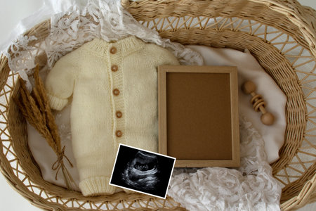 Pregnant Announcement Template.Holiday Digital Pregnancy Announcement. Layout for the design and...