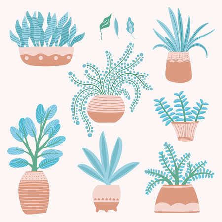 Houseplants set. Isolated vector icons of succulent indoor plants in pots. Nature design resource of domestic plants.のイラスト素材