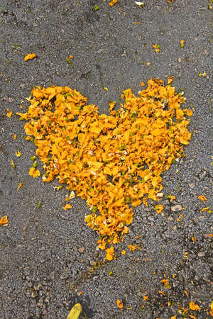 Heart made of beautiful yellow flowers on the grey asphaltの写真素材