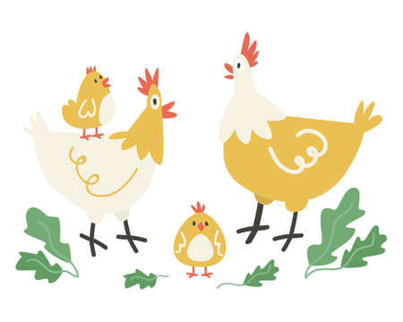 Two cute clocking hen standing with two yellow chickens . Funny moms and baby birds.のイラスト素材