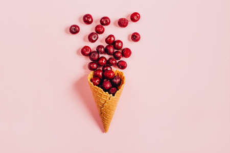 top view of berries cherry in waffle cup on pink backgroundの写真素材