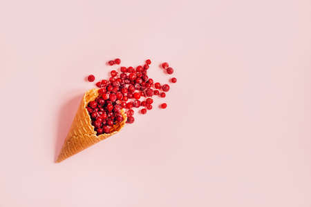 top view of a waffle cup filled with currants on a pink backgroundの写真素材