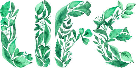 Word LIFE made of green leaves isolated on the white background. Watercolor illustration.の写真素材