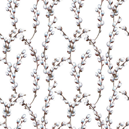 Seamless pattern of willow branches on white background. Watercolor illustration.の写真素材
