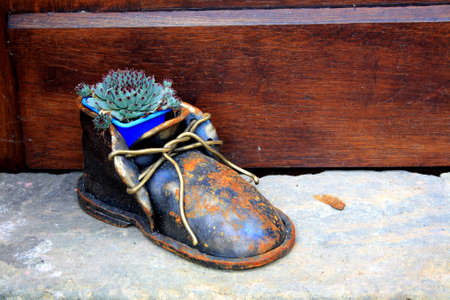 Green succulent growing in the iron shoe pot by the brown wooden door. Gardening design idea for...