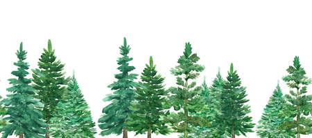 Seamless border of watercolor Christmas green trees. Spruce and holiday tree. Hand-drawn illustration.の写真素材