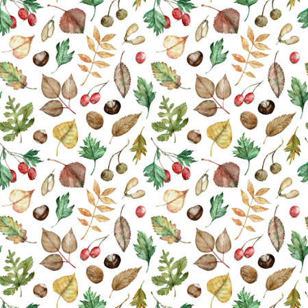 Watercolor autumn pattern of hazel-nuts, chestnut, maple seeds, planetree seed pods, oak, birch,...