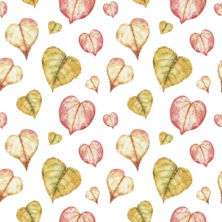Watercolor pattern of colorful autumn leaves in the shape of heart on white background.の写真素材
