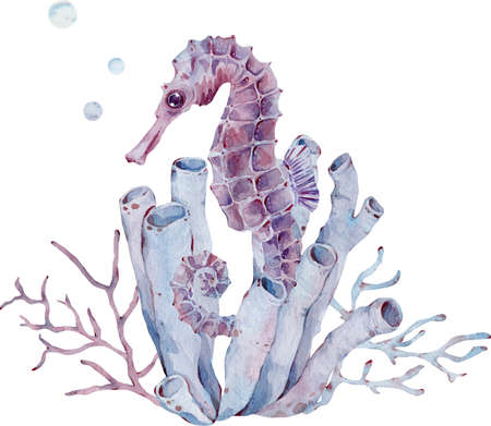 Watercolor illustration of seahorse by the tube sponge and seaweed. Sea life. Hand-drawn art.の写真素材