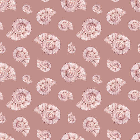 Watercolor sea shell pattern. Pink ocean life background.の写真素材