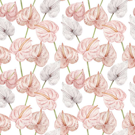 Watercolor tropical pattern with exotic flowers. Blush pink and white tropical flowers - anthuriums.の写真素材