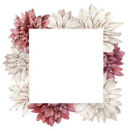 Watercolor crimson and white chrysanthemum frame. Fall flowers square template. Autumn frame isolated on the white background.の写真素材
