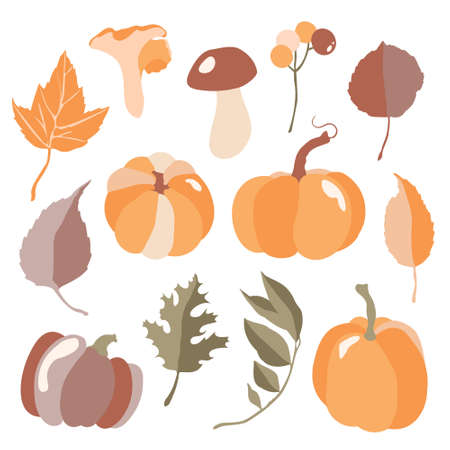 Set of autumn leaves and pumpkins. fall set. vector illustrationのイラスト素材