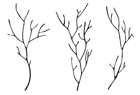 bare tree branch silhouettes. Vector black branches without leavesのイラスト素材