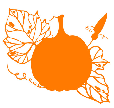Orange pumpkin silhouette with leaves isolated on the white background. Line pumpkin and leaves.のイラスト素材