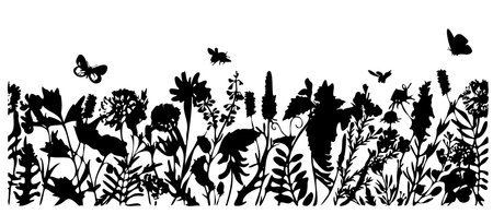 Hand drawn vector illustration of wild flowers, herbs and grasses, insects.Thin delicate silhouette of different plants - clover, dill, mint, chamomile. Isolated on white background. Herbal graphic illustration.のイラスト素材