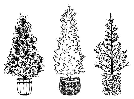 Christmas potted trees set. Black and white vector hand drawn isolated illustration. New Year card elementのイラスト素材
