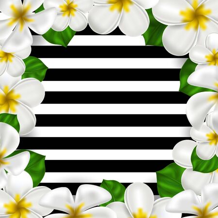 Vector realistic tropical hawaiian flower plumeria. White-yellow color frangipani on a strips background. Summer paradise. Botanical nature illustration for banner and cards. Floral frame.のイラスト素材