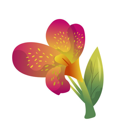 Canna Lily Tropical Flower Vector Illustrationのイラスト素材