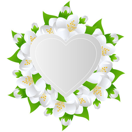 Jasmine White Fragrant Flower Vector Illustrationのイラスト素材