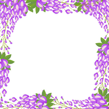 Wisteria botanical illustration in soft purple and green tones on white background.のイラスト素材