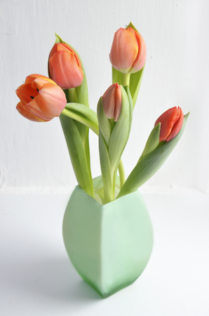 colorful tulip flowers backgroundの写真素材