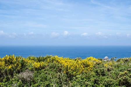 Ocean, Atlantic Ocean, walk along the ocean,の写真素材