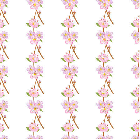 Seamless sakura blossom pattern on a white background. Japanise background. Vector illustration.のイラスト素材