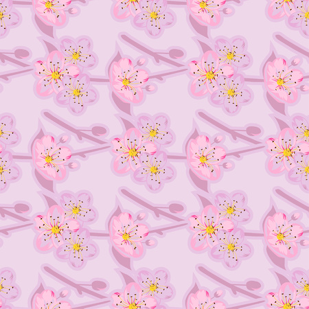 Seamless sakura blossom pattern on a white background. Japanise background. Vector illustration.のイラスト素材