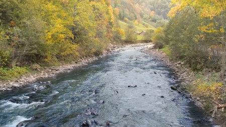Mountain river in autumn mountains landscape. Yellow foliage trees over blue, clear, fast river...