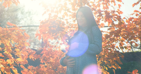 Pregnant woman in sun glare light autumn outdoor. Happy girl with pregnant belly standing in orange fall foliage. Mother expecting child. Maternity, motherhood care in natural park. Tranquil pregnancyの写真素材