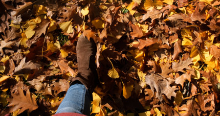 POV: Feet kick autumn orange-yellow foliage in park, forest. Fall nature lifestyle. Slow motion movement. Female walk, foot kicking colorful leaves in brown leather shoes. season leisure. autumn leafの写真素材